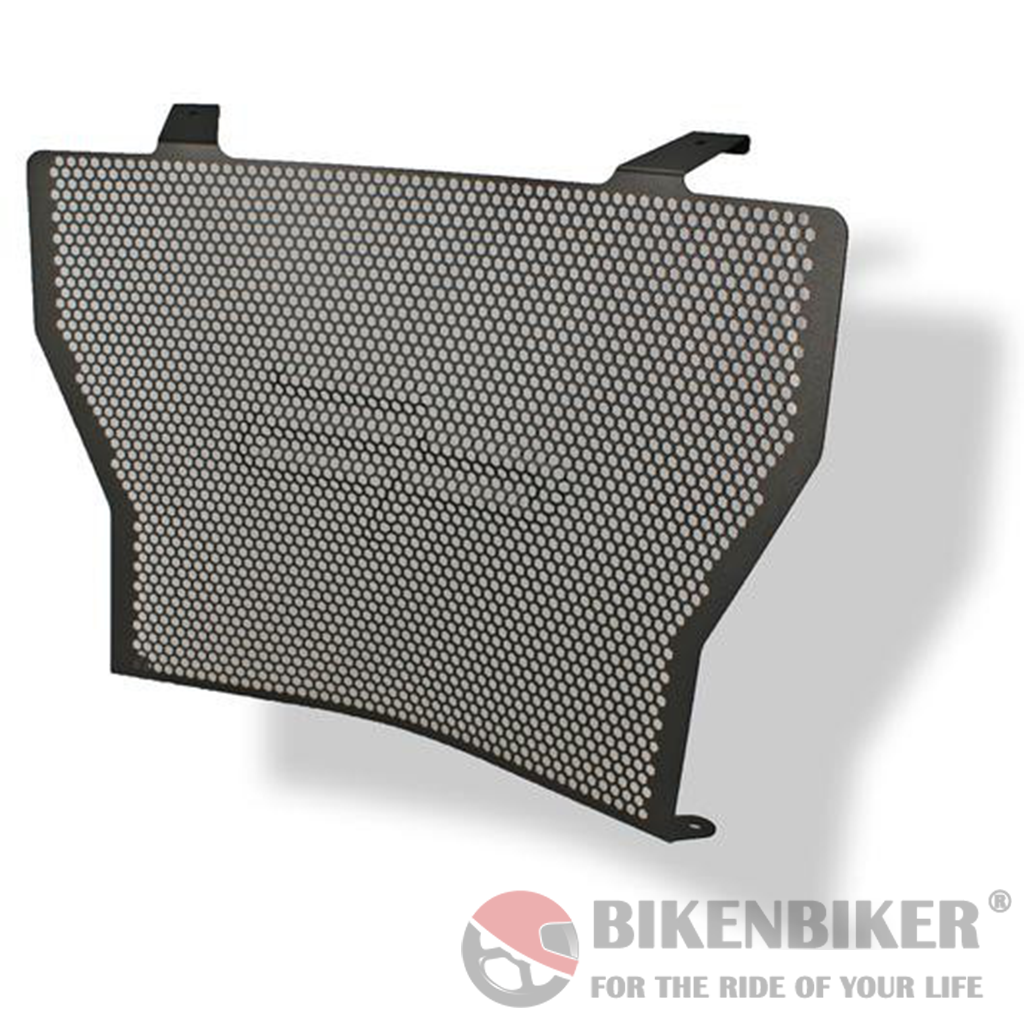 BMW S 1000 R/RR/XR Radiator Guard 2010+