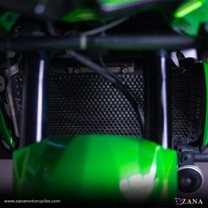 Kawasaki Versys 650 Radiator Guard(Grill) - Zana