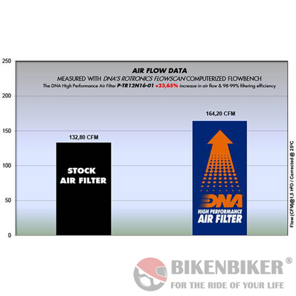 Triumph Thruxton 1200 (16-22) Air Filter - DNA