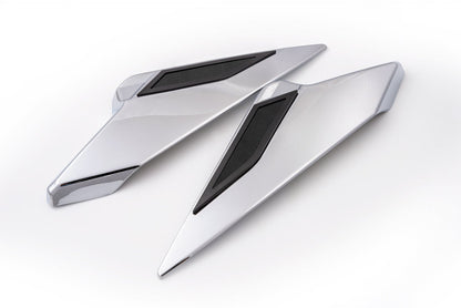 TWINART Side Covers - Honda Goldwing - Ciro Goldstrike