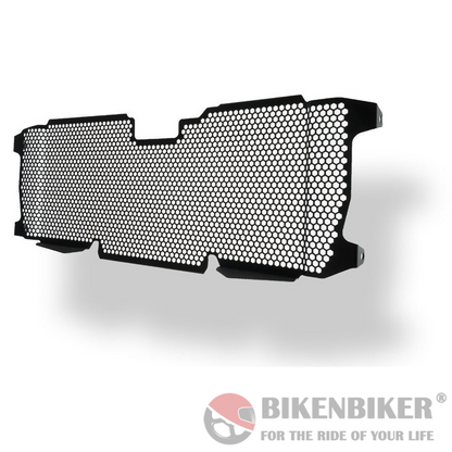 BMW R 1200 R Radiator Guard 2015+