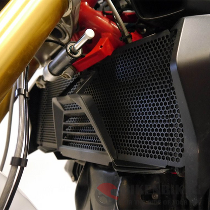 BMW R 1200 R Radiator Guard 2015+