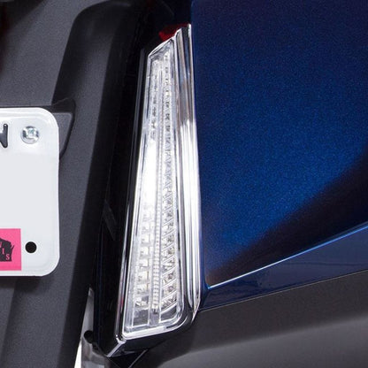 LED Filler Panel Lights - Honda Goldwing - Ciro Goldstrike